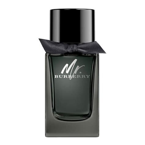 Purchase Mr. Burberry Eau de Parfum 100ml Online at Special 